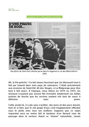 La Pie-grièche écorcheur