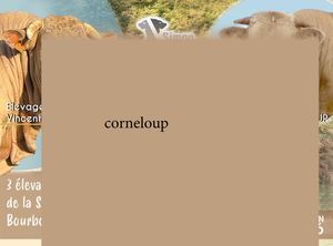 Corneloup cowllection 2026 - Simon Genetic