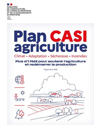 Plan CASI - les mesures