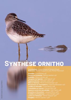 Synthèse Complète Lirou 45