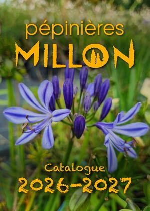 Catalogue Millon 2026 2027