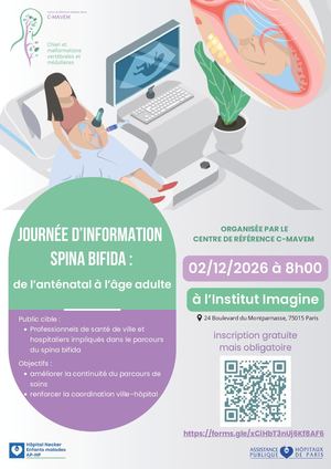 Journée Spina Bifida Flyer Et Programme