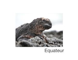 Equateur 2026