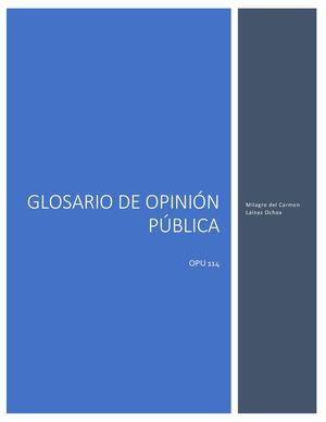 Glosario De Opinión Pública Completo
