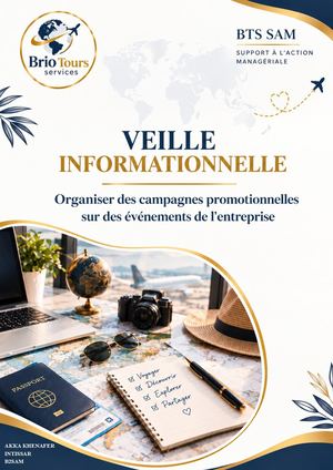 Veille Informationnelle