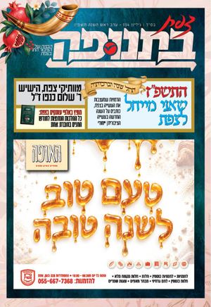 ‎⁨צפת בתנופה גליון 554⁩