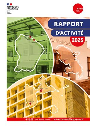 Rapport D'activite 2025