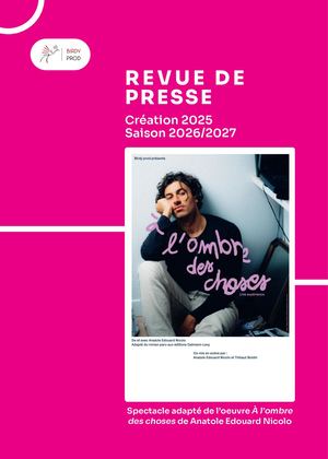 À L'OMBRE DES CHOSES - Revue De Presse