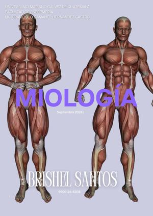 Revista Musculos