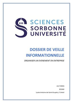 Dossier De Veille Informationnelle Anil Yaras