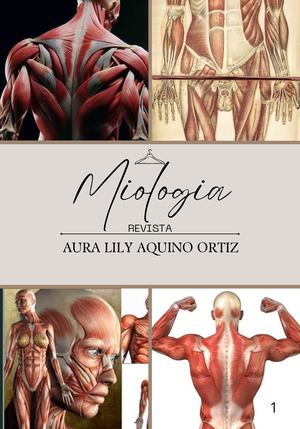 Revista Catalogo Alta Moda Moderna Café (1)