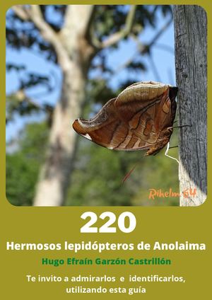Anolaima, Lepidópteros Guía De Campo