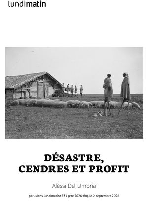 Désastre, Cendres Et Profit