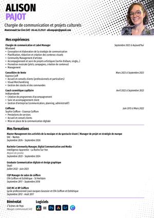 Alison Pajot Chargée De Communication Culturelle Cv