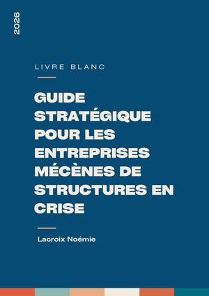 Guide stratégique pour les entreprises mécènes de structures en crise