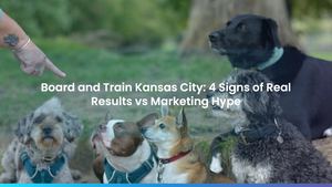 Board and Train Kansas City: 4 Signs of Real Results vs Marketing Hype