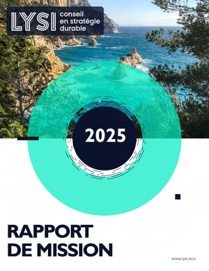 Rapport De Mission Lysi 2025