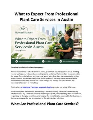 Is Your Business Getting the Right Plant Care?