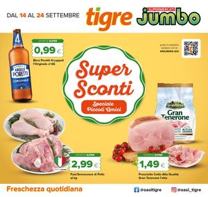 BASSA M20 Cambio Jumbo 14 24sett