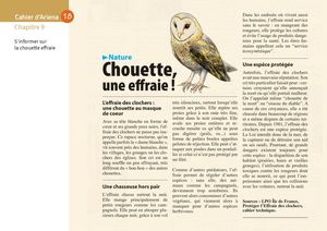 Feuillet à télécharger - Cahier n°18 - Chouette effraie