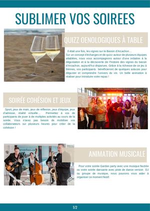 Soirees Animations