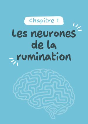 Extrait CVC