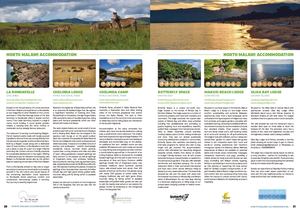 Bom 2026 Listings