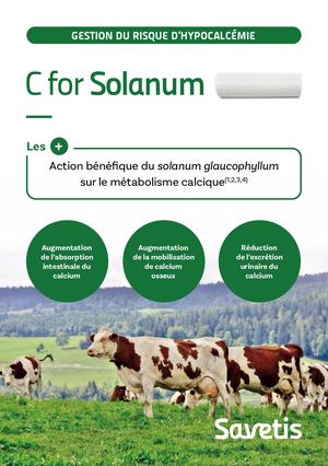 Leaflet C for Solanum FR