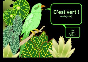 Sa Gu C'est Vert