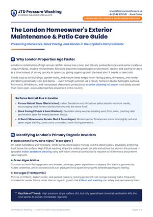 How to Stop Black Lichen & Algae Staining on London Patios & Render (Free PDF Guide)