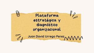 Plataforma estratégica y diagnóstico organizacional