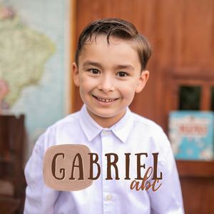 Gabriel Abc Tree House 20x20