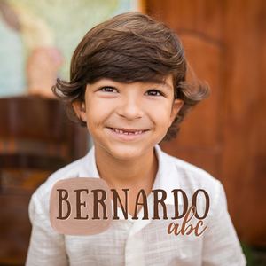 Bernardo Abc Tree House 20x20
