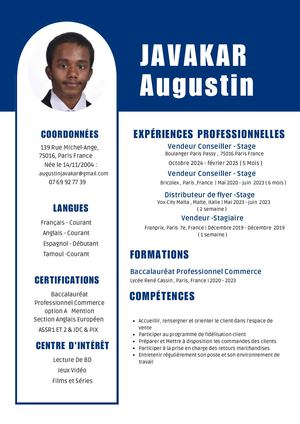 Cv Professionnel Simple Comptable Photo Bleu