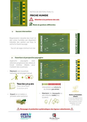 Fiche 3 Friche Humide