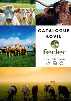 Catalogue Appro Bovin
