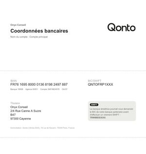 RIB Onyx Conseil SASU