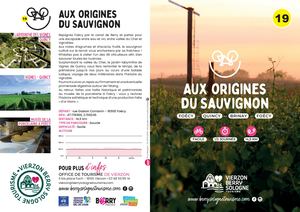 Boucle 19 aux origines du Sauvignon