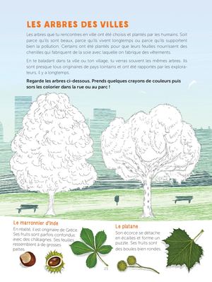 Automne
