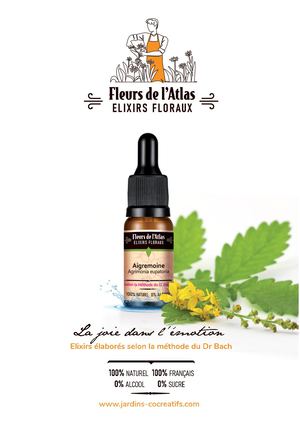 Depliant Fda + Complexes 2026