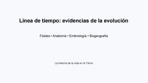 Linea De Tiempo Evidencias De La Evolucion