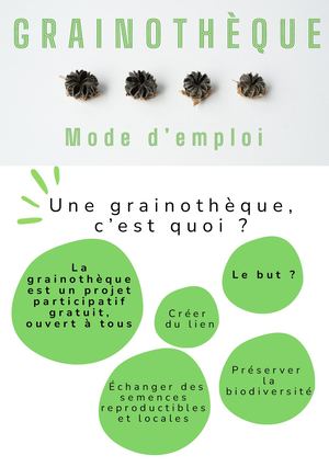 Votre Texte De Paragraphe 2