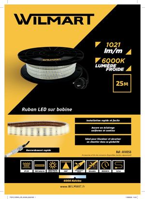 FICHE RUBAN LED 810253 2026 HD