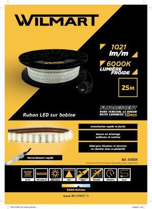 FICHE RUBAN LED 810254 2026 HD