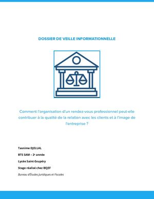 Veille Info Projet 1 1 2