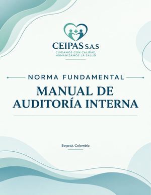 Manual De Auditoria Interna Ceipas S A S