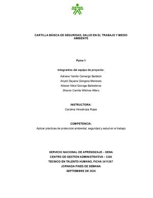 Manual Básico De Sst Para Pymes