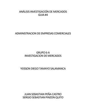 Analisis Investigacion Mercados