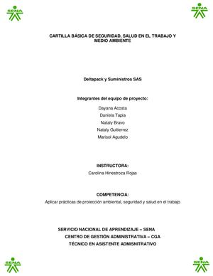 Manual De Sst Deltapck