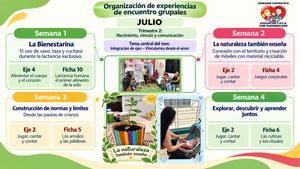 Comite Tecnico